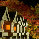 朝護孫子寺,紅葉(PK3_0159,F8,43mm,K3)2014yaotomi_.jpg