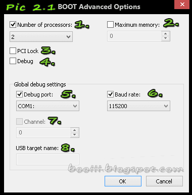 boot advanced options processors