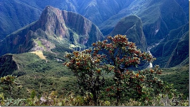 Machu_Picchu_WP_20130706_039