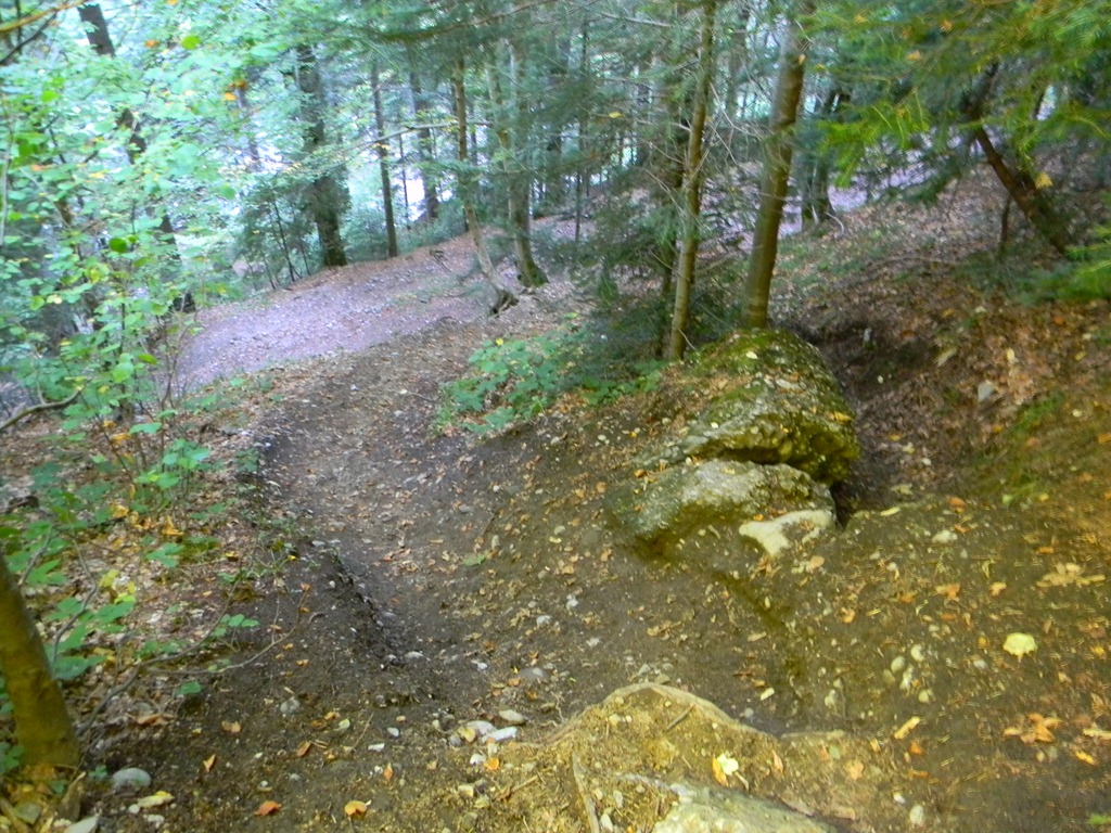 [DSCN68813.jpg]