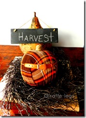 plaid pumpkin 2