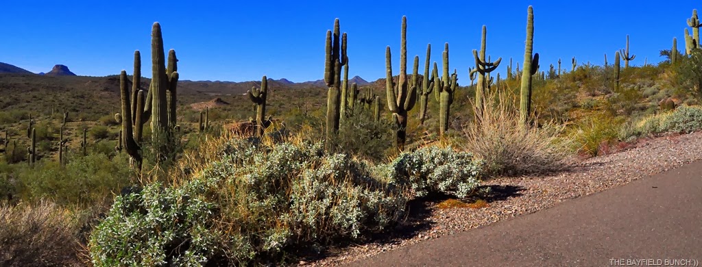 [DSC_0021%255B3%255D.jpg]