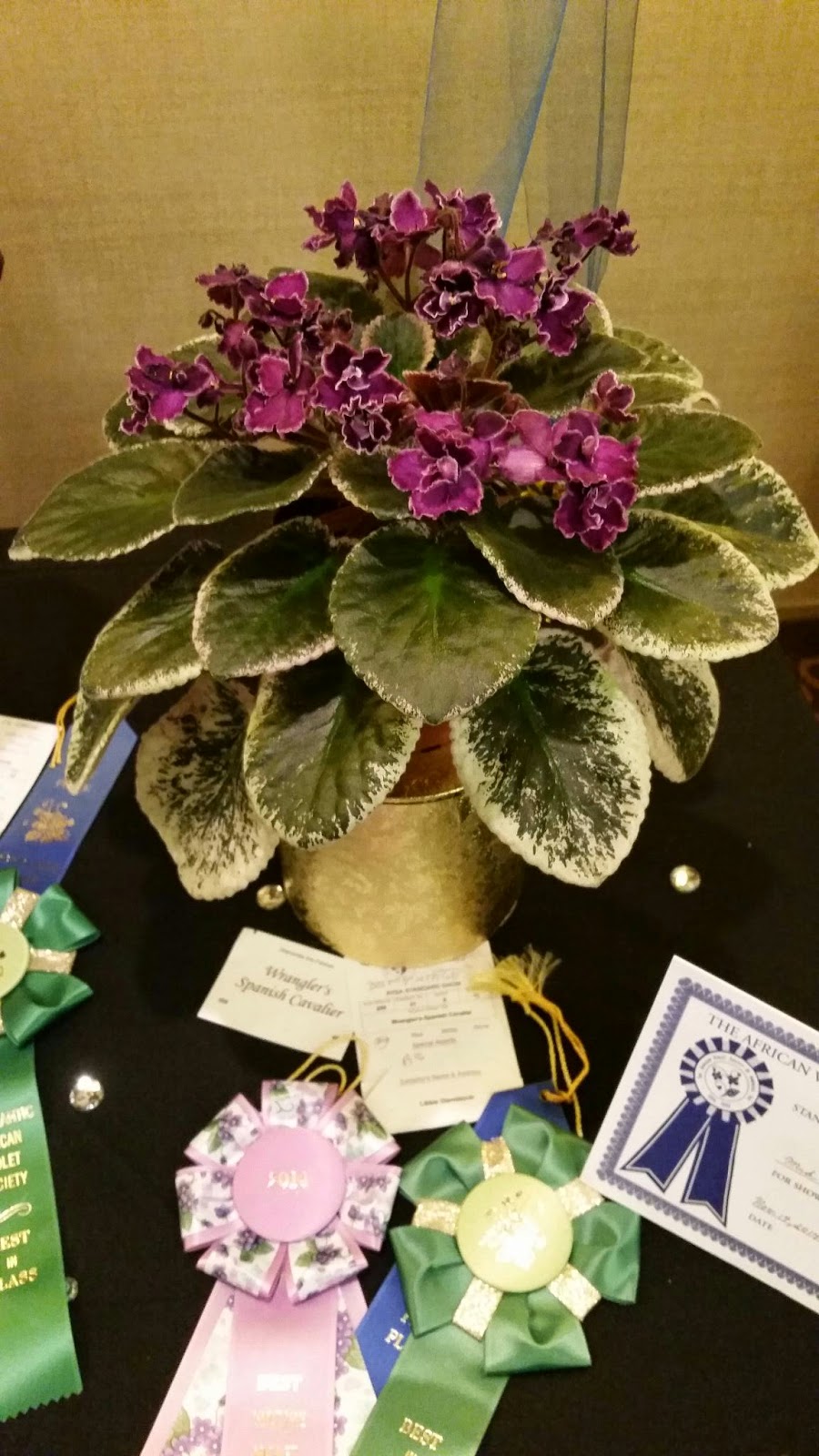 Fuzzy Foliage November 2014