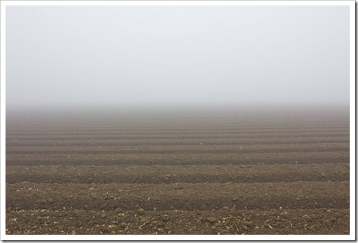 111220_fog_field
