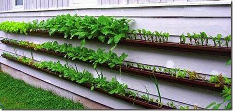 repurposed-gutter-planters
