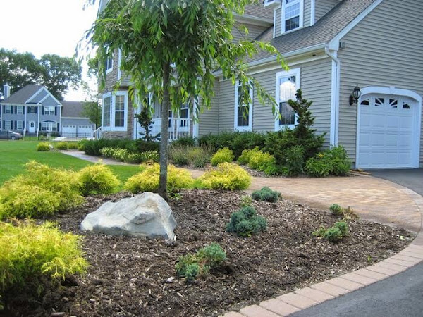 IMG_0545 Cheap Landscaping Ideas