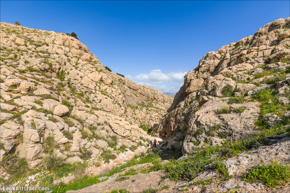 LookAtIsrael.com - Ручей (нахаль) Талкид | Nahal Talkid | נחל תלקיד