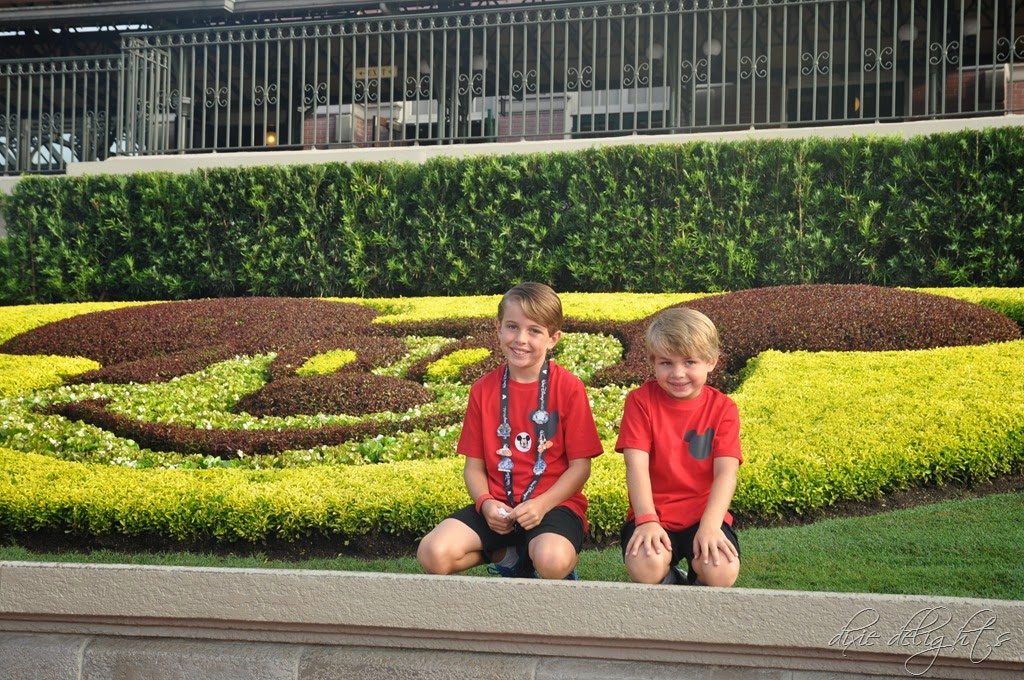 [DSC_0428%255B3%255D.jpg]