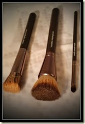 makeupgeek brushes
