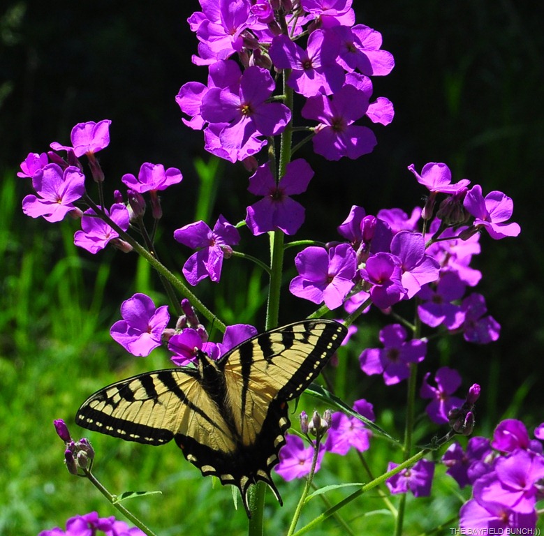 [DSC_0018%255B3%255D.jpg]