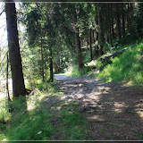 Waldweg an der Rolava