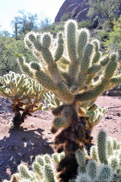 [DSC_0071%255B3%255D.jpg]