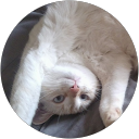 Image Google de Catherine N.