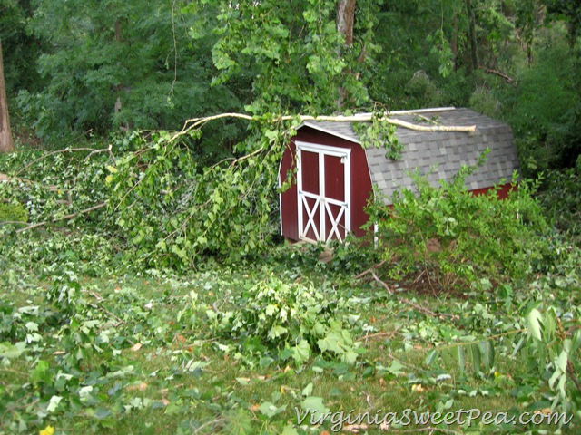 [Back%2520Damage4%255B3%255D.jpg]