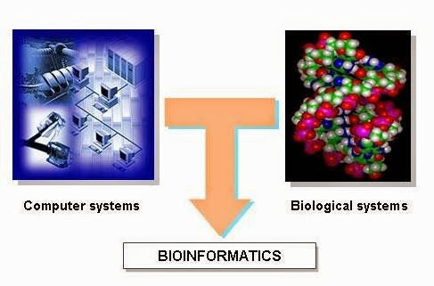 Bioinformatics definition