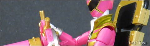 Gokai Pink header