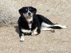 [SDC10004%255B8%255D.jpg]