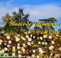 Sinais Primavera - Ota - 13.03.14 (1)