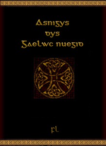Asnigys dys Gaelwc nuegid Cover