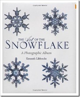 snowflake the art of