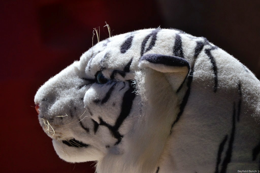 [DSC_0002%255B8%255D.jpg]