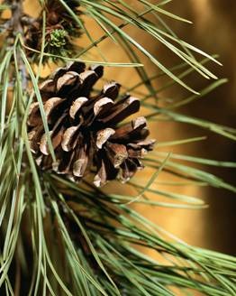 [clip_image002%255B3%255D.jpg]