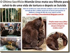 O Último Sacrifício-Mamãe Urso mata seu filhote