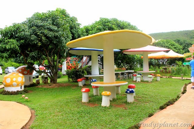 [khao%2520yai%2520panorama%2520farm%2520%252811%2529%255B2%255D.jpg.webp]
