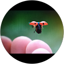 Las Aventuras de Roberto García Fernández