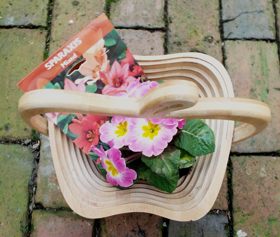 [fruit-bowl-planter-0198.jpg]
