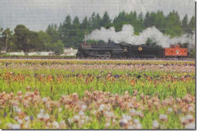 Spokane, Portland & Seattle 4-8-4 #700 passing Schriener's Iris Gardens in Brooks, Oregon in 2005