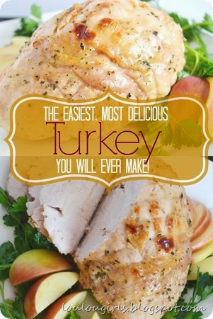 The-Easiest-Most-Delicious-Turkey-You-Will-Ever-Make