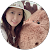 Diana Choi Diana Choi