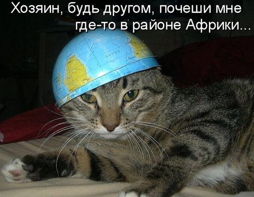 [kotomatrix_33%255B3%255D.jpg]