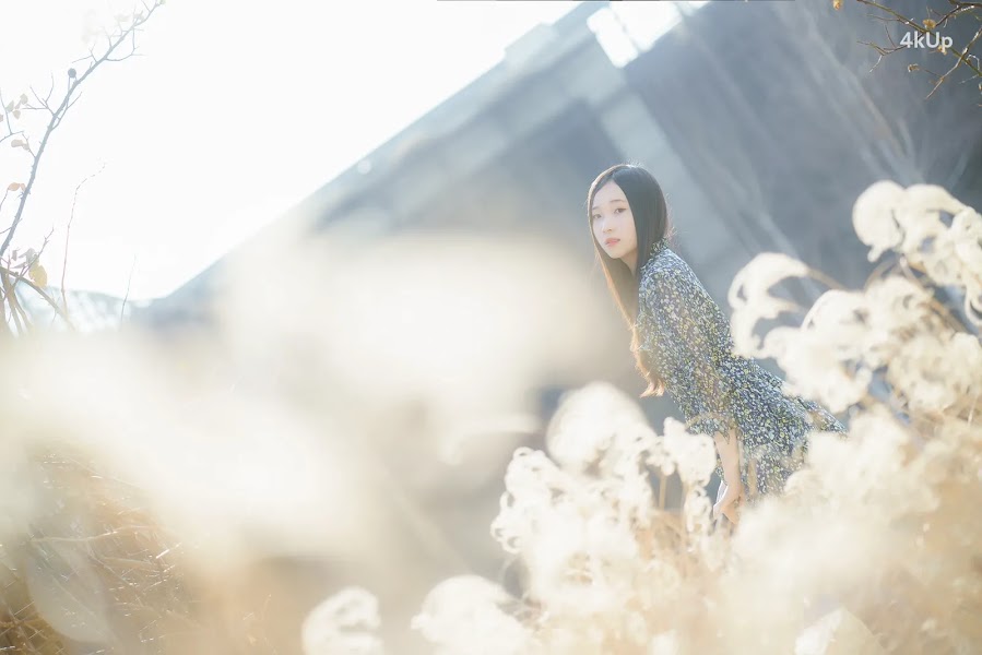 Bambi (밤비) Lacerta Photography