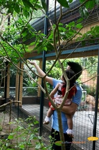 Langkawi Wildlife Park