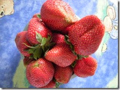strawberry 3