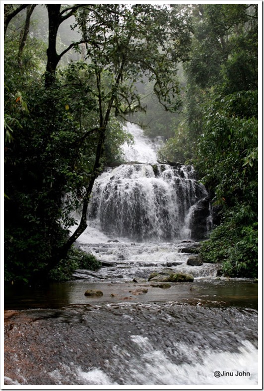 Gavi  Waterfalls Chilled