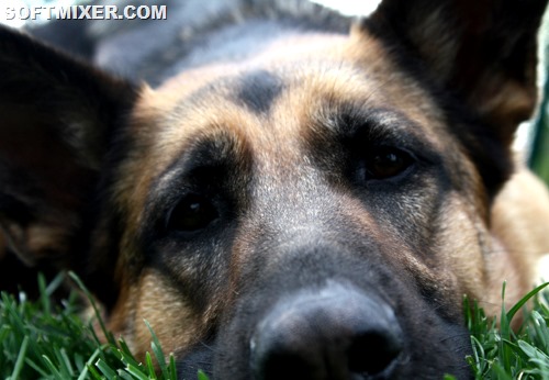 [25111374494055321%255B15%255D.jpg]