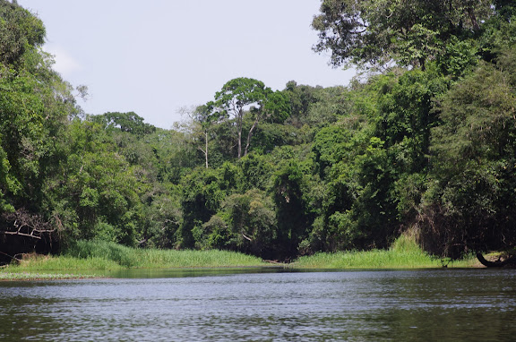 Le confluent de la Soo et la Nyong, Ebogo (Cameroun), 8 avril 2012. Photo : J.-M. Gayman