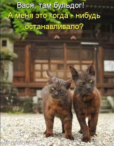 [2b5687f51a8a7eb2b28152ba98b%255B6%255D.jpg]