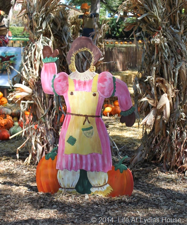 [Dallas-Arboretum---pumpkin-festival-%255B86%255D.jpg]
