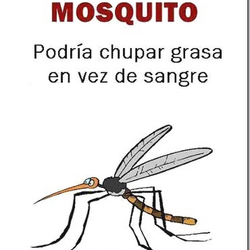 Los mosquitos tendrían que chupar grasa, humor