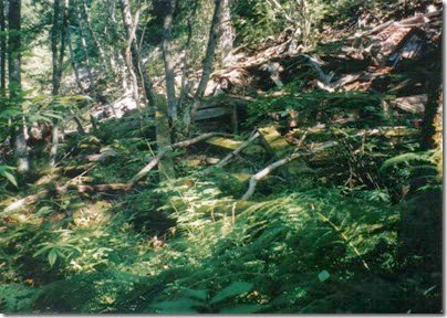 Collapsed Snowshed Ruins near Milepost 1716 on the Iron Goat Trail in 1998