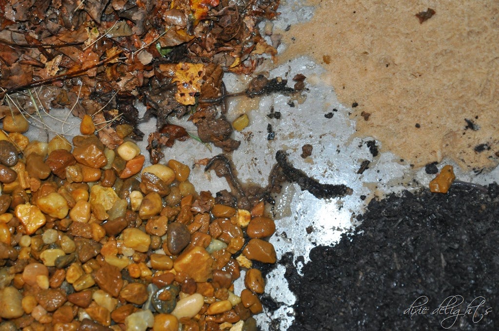 [DSC_0257%255B3%255D.jpg]