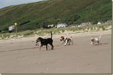 Wales 5-8-2012 363