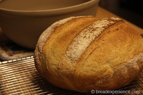 Shephard's Bread
