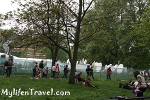 IMG_6895 IMG_6895