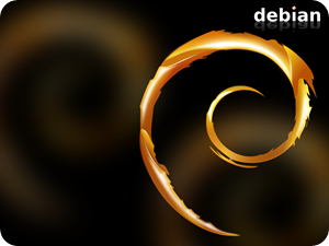 Guida all’installazione di Debian GNU/Linux: come orientarsi in Debian.