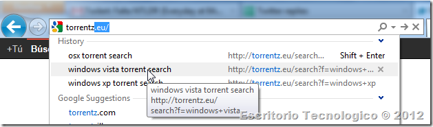 Google - Windows Internet Explorer_2012-01-25_12-10-29[9]